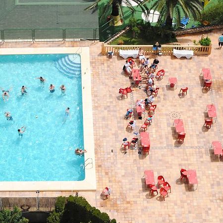 Apartamentos Palm Court Benidorm Eksteriør bilde