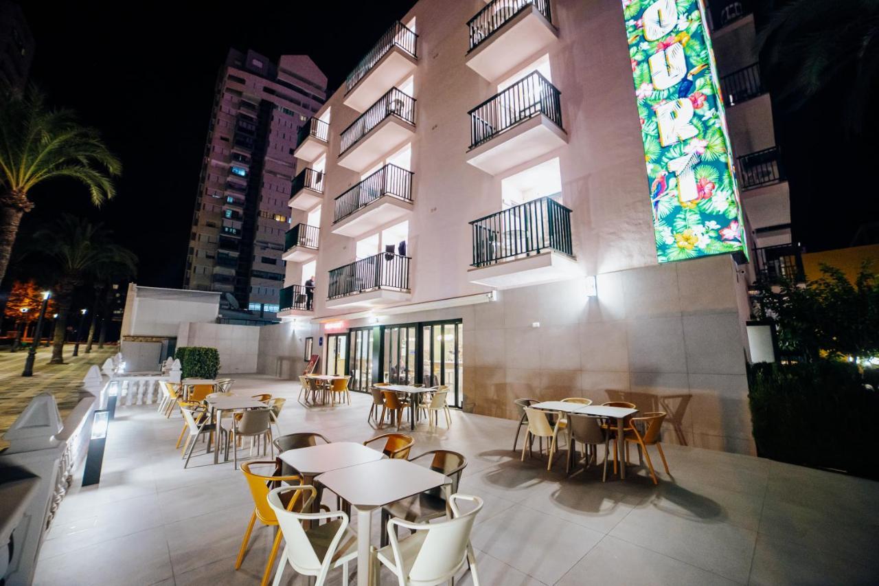 Apartamentos Palm Court Benidorm Eksteriør bilde
