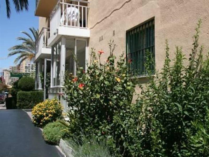 Apartamentos Palm Court Benidorm Eksteriør bilde