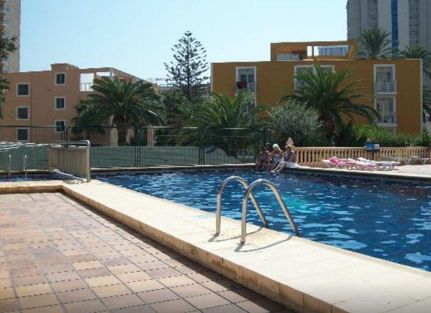 Apartamentos Palm Court Benidorm Eksteriør bilde
