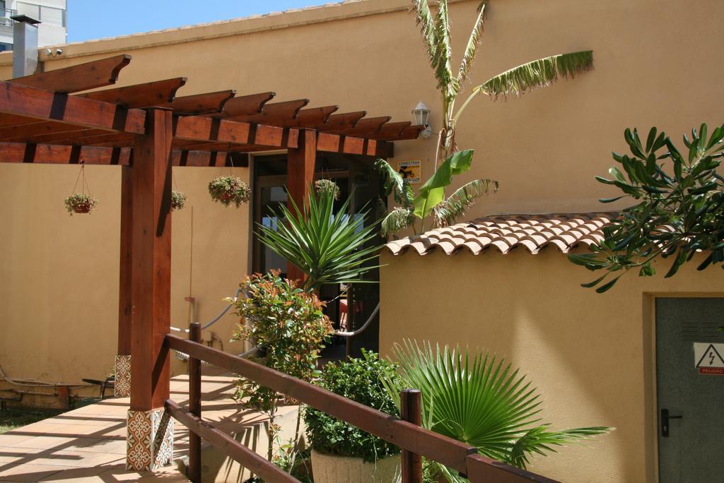 Apartamentos Palm Court Benidorm Eksteriør bilde