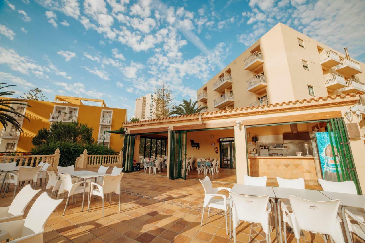 Apartamentos Palm Court Benidorm Eksteriør bilde