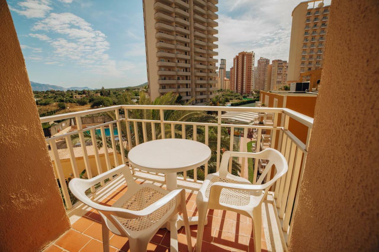 Apartamentos Palm Court Benidorm Eksteriør bilde