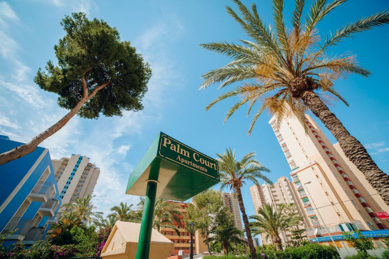 Apartamentos Palm Court Benidorm Eksteriør bilde
