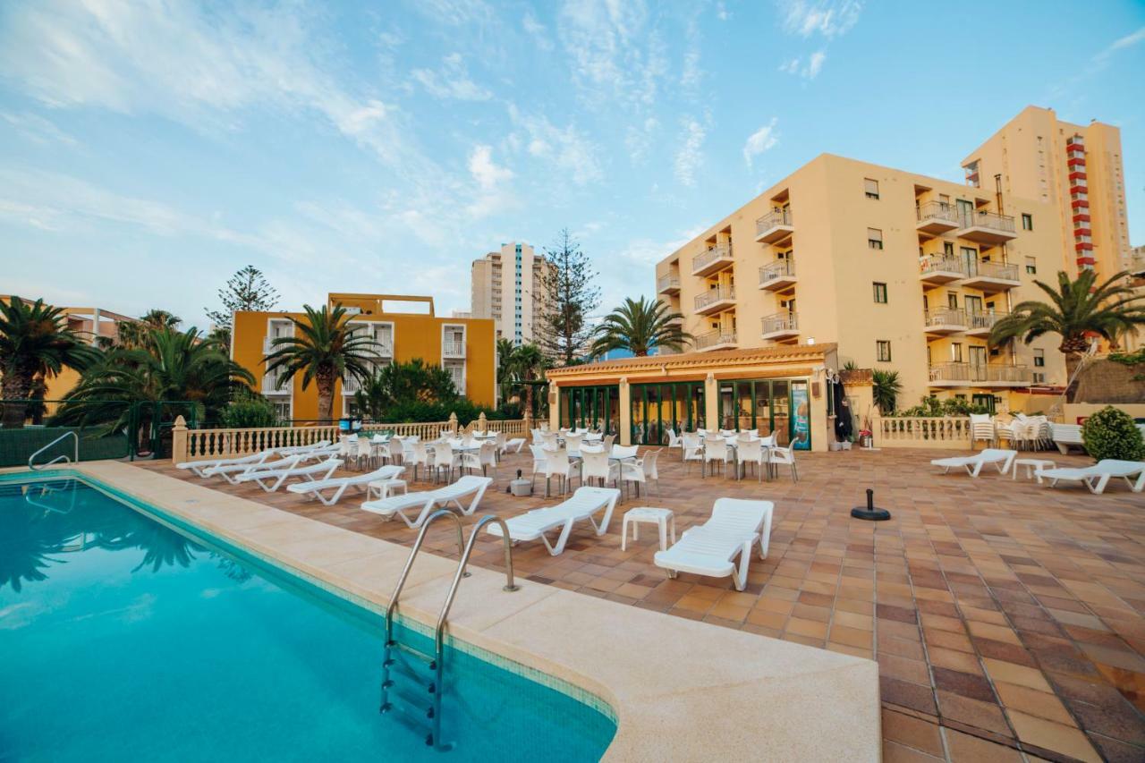 Apartamentos Palm Court Benidorm Eksteriør bilde